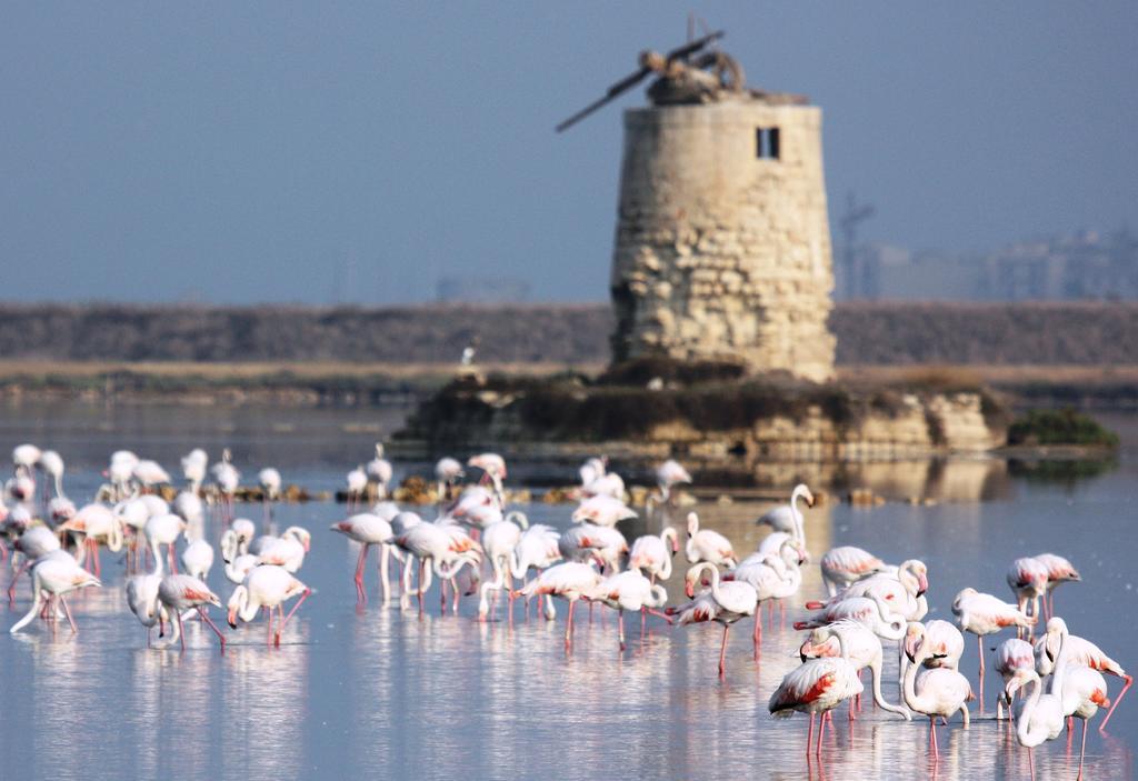 Appartamenti Trapani Mare 외부 사진
